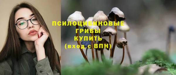 прущий лед Волосово