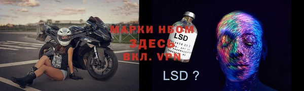 гашик Володарск