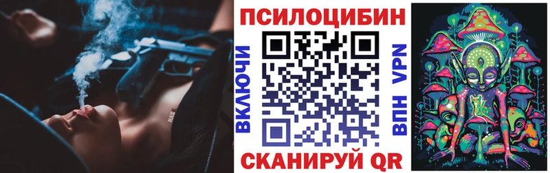 Псилоцибиновые грибы Psilocybe  Тара 