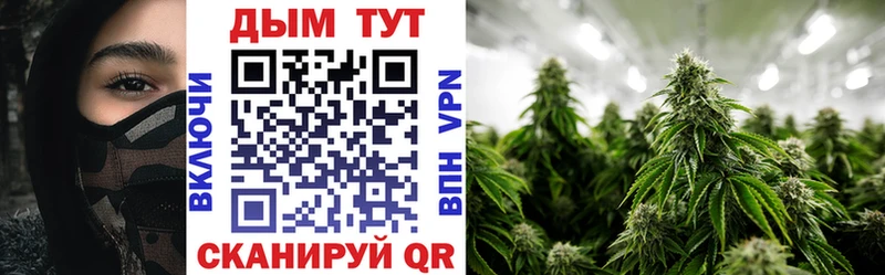 где купить наркоту  Тара  Бошки марихуана марихуана 